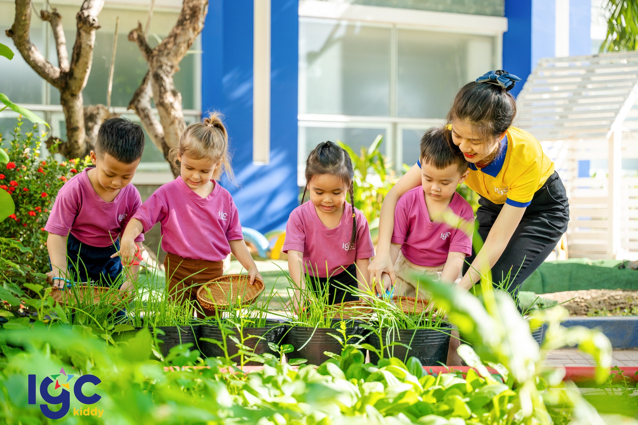 Trường Mầm non Sao Mai