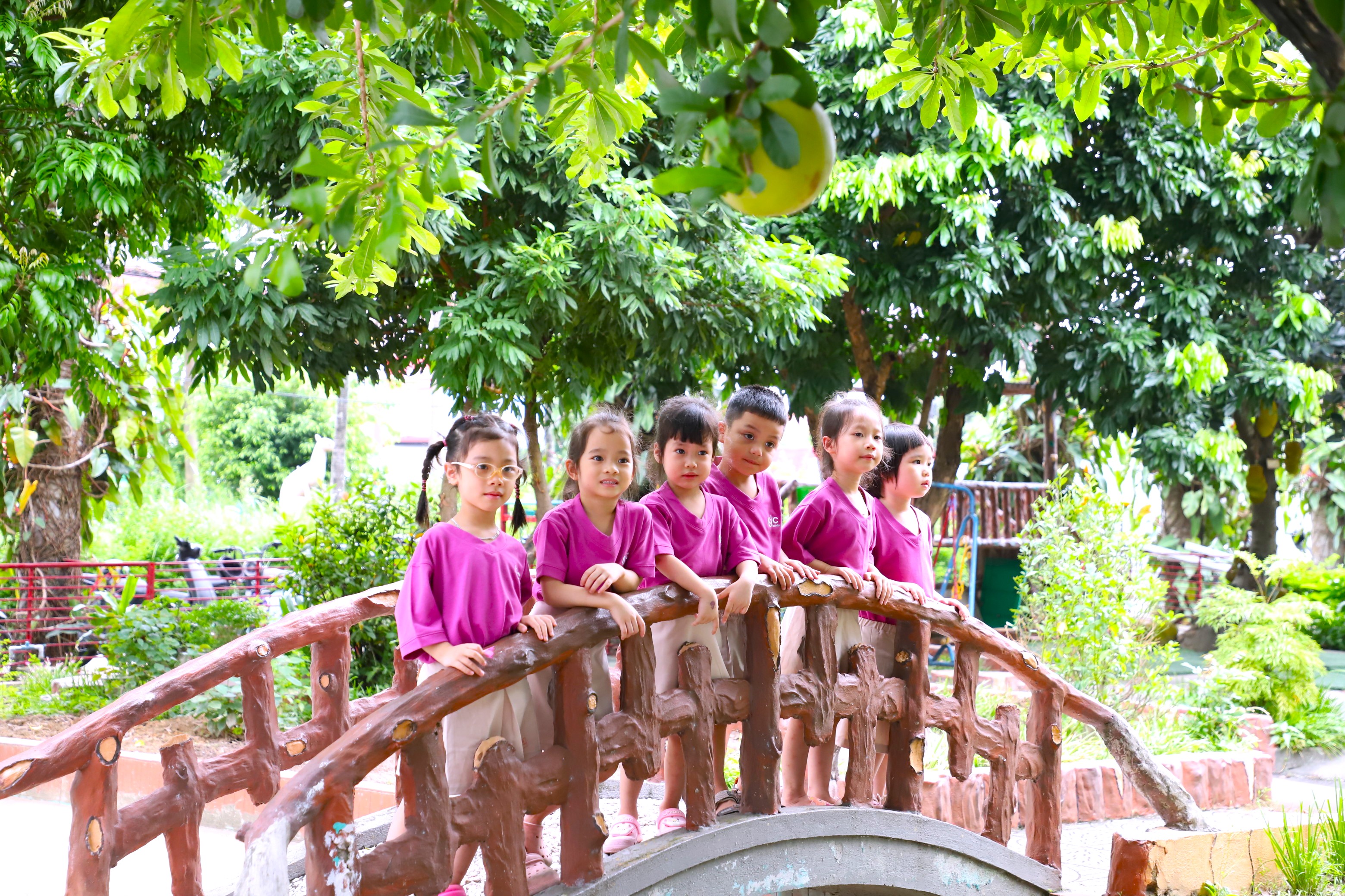 Trường Mầm non Sao Mai
